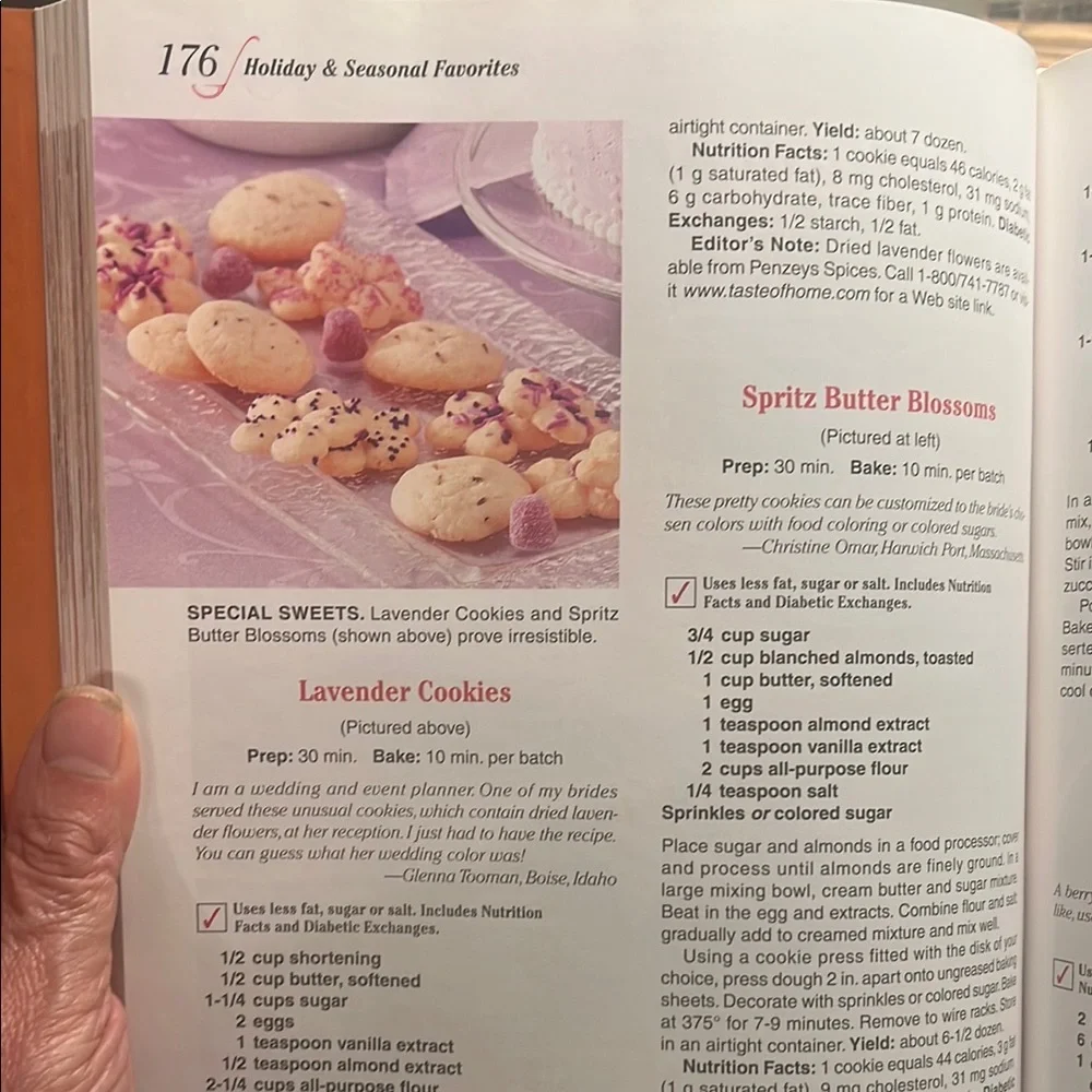 Taste Of Home Rustic Kitchen Cookbook with Earthy Tones 2008 Annual Recipes